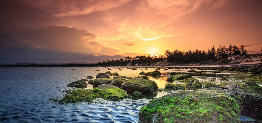 Value 1024x480